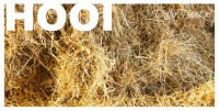 /album/fotogalerij-startpagina/a309719-517329784956097-288029754-n-jpg/